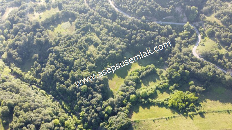 10.457 m2 Yatırımlık Tarla Bağ-Bahçe Ormana Cepheli Özel Yol var