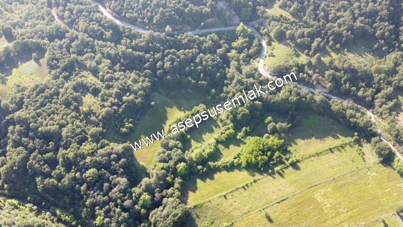 10.457 m2 Yatırımlık Tarla Bağ-Bahçe Ormana Cepheli Özel Yol var