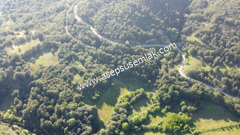 10.457 m2 Yatırımlık Tarla Bağ-Bahçe Ormana Cepheli Özel Yol var