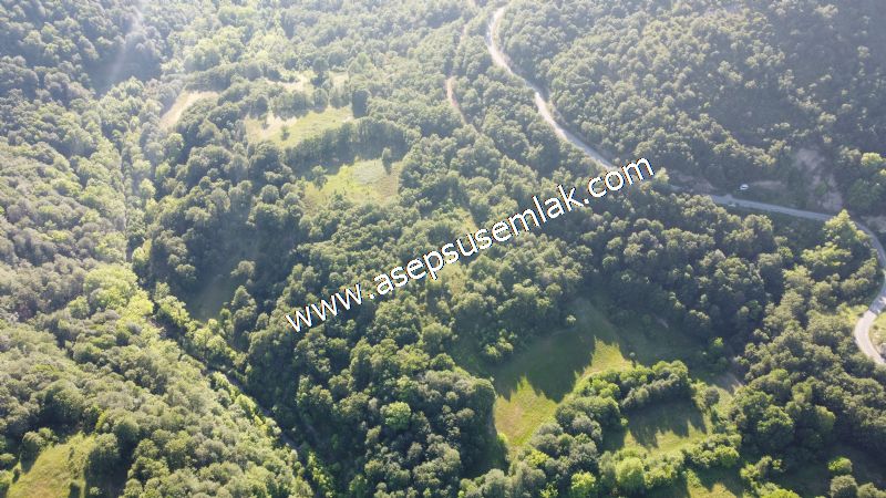 10.457 m2 Yatırımlık Tarla Bağ-Bahçe Ormana Cepheli Özel Yol var