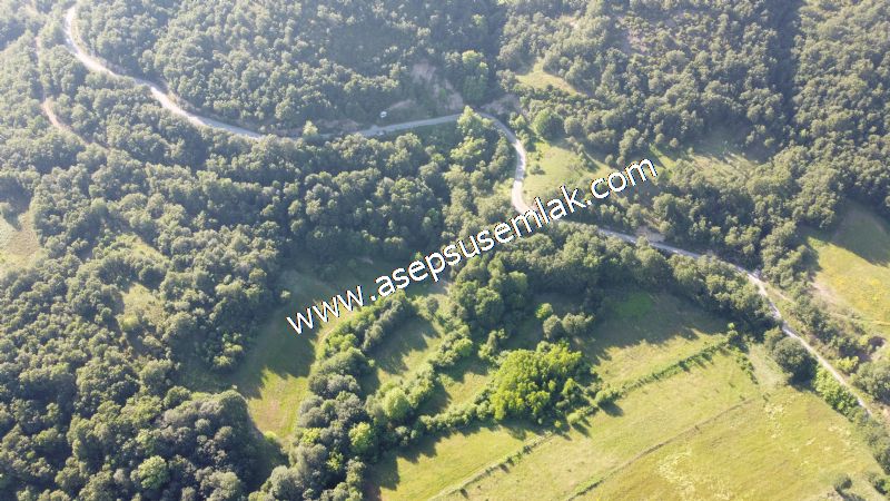 10.457 m2 Yatırımlık Tarla Bağ-Bahçe Ormana Cepheli Özel Yol var