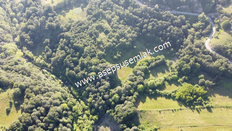10.457 m2 Yatırımlık Tarla Bağ-Bahçe Ormana Cepheli Özel Yol var