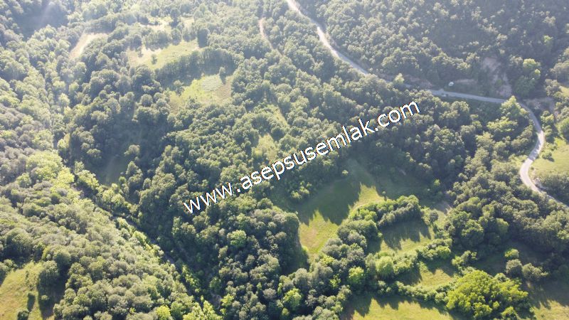 10.457 m2 Yatırımlık Tarla Bağ-Bahçe Ormana Cepheli Özel Yol var