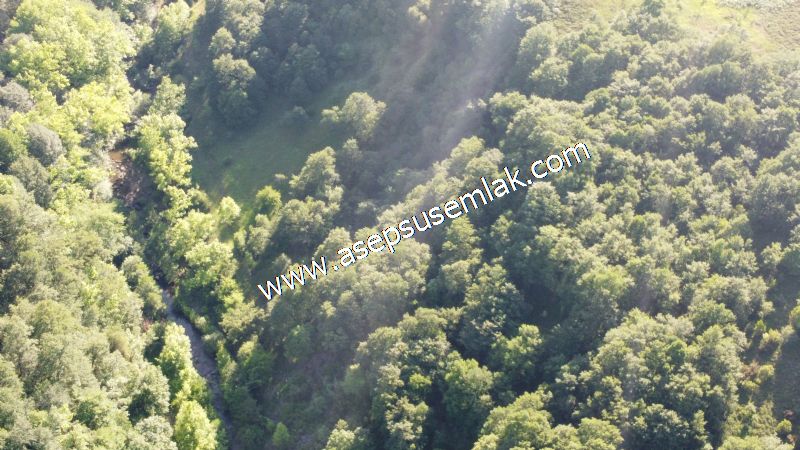 10.457 m2 Yatırımlık Tarla Bağ-Bahçe Ormana Cepheli Özel Yol var