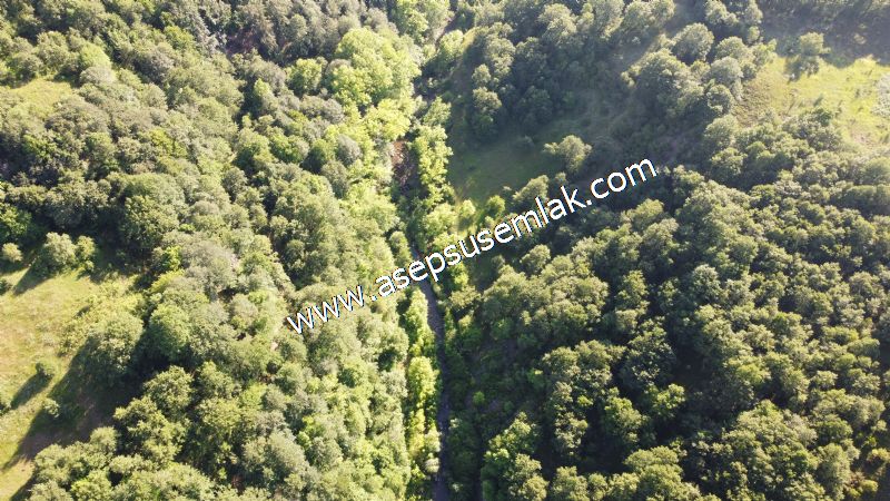 10.457 m2 Yatırımlık Tarla Bağ-Bahçe Ormana Cepheli Özel Yol var