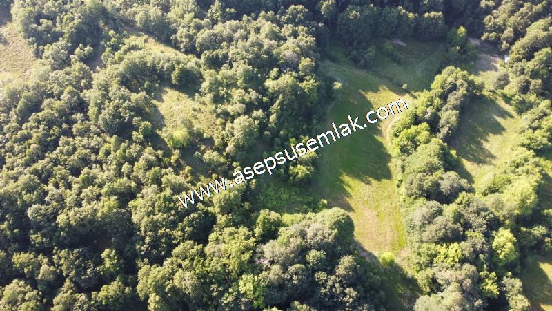 10.457 m2 Yatırımlık Tarla Bağ-Bahçe Ormana Cepheli Özel Yol var