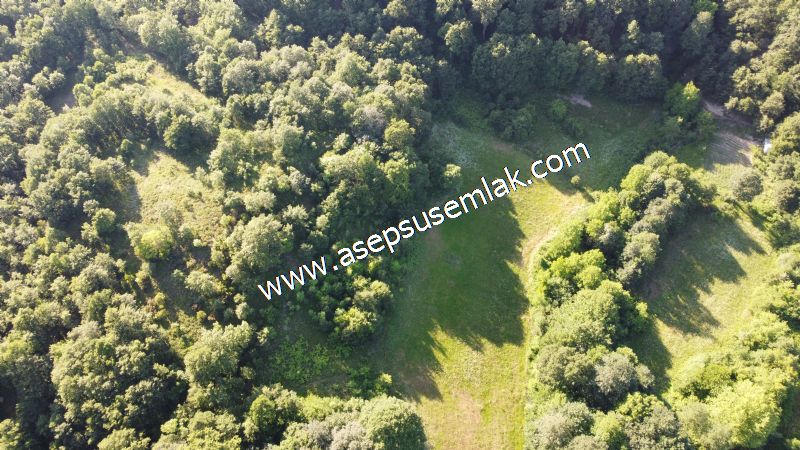 10.457 m2 Yatırımlık Tarla Bağ-Bahçe Ormana Cepheli Özel Yol var