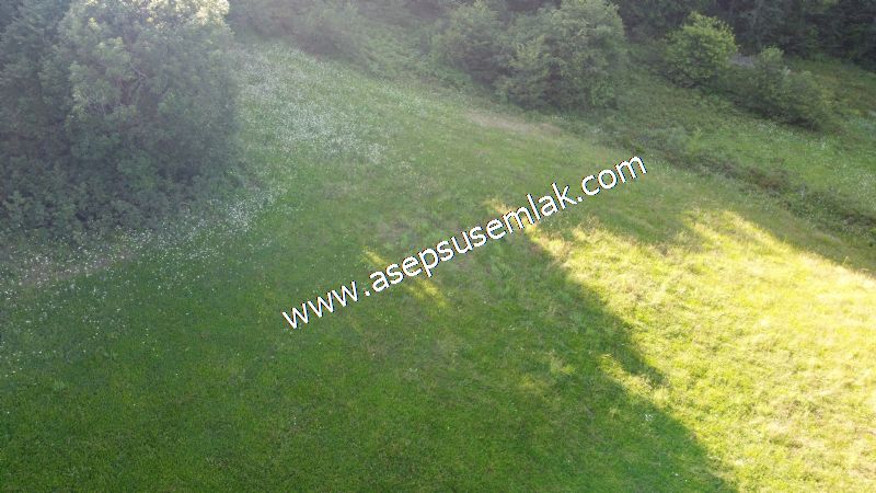 10.457 m2 Yatırımlık Tarla Bağ-Bahçe Ormana Cepheli Özel Yol var