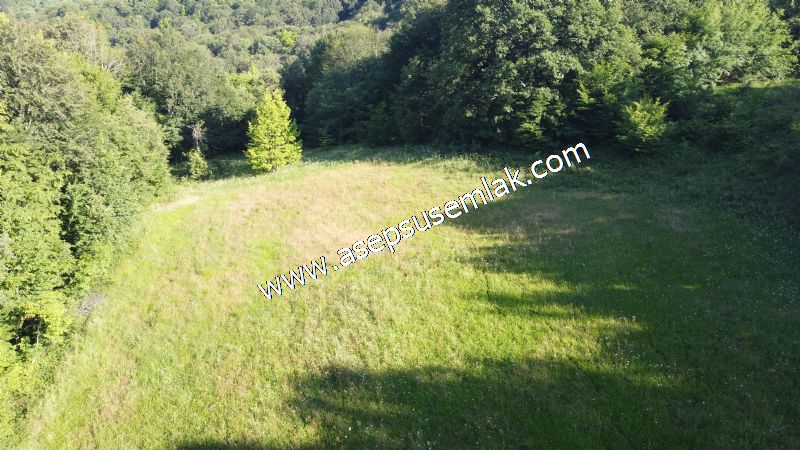 10.457 m2 Yatırımlık Tarla Bağ-Bahçe Ormana Cepheli Özel Yol var