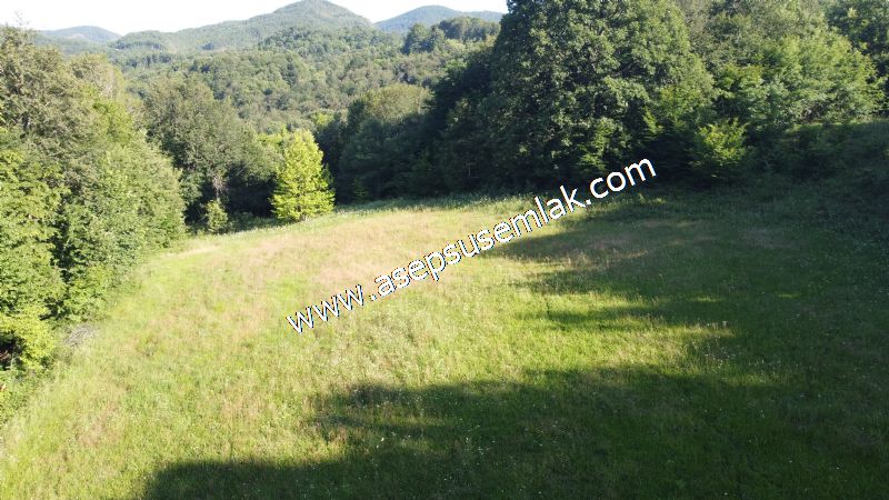 10.457 m2 Yatırımlık Tarla Bağ-Bahçe Ormana Cepheli Özel Yol var