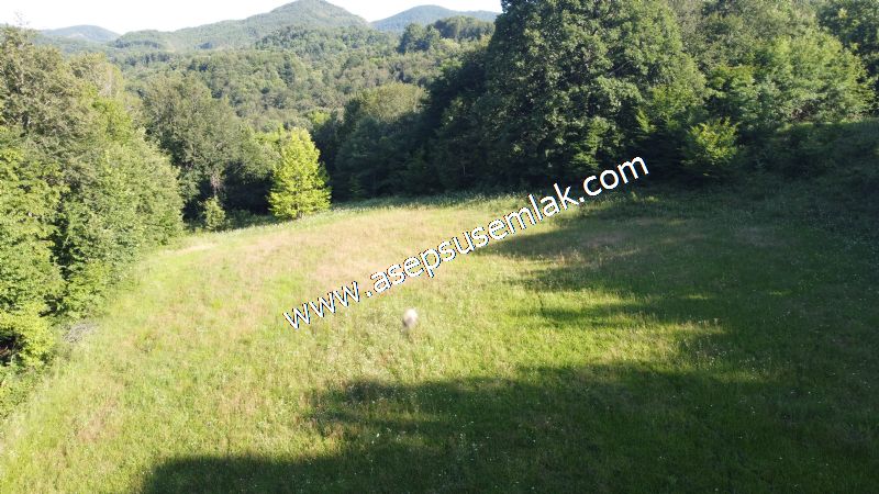 10.457 m2 Yatırımlık Tarla Bağ-Bahçe Ormana Cepheli Özel Yol var