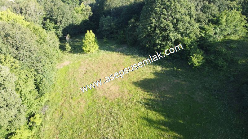 10.457 m2 Yatırımlık Tarla Bağ-Bahçe Ormana Cepheli Özel Yol var