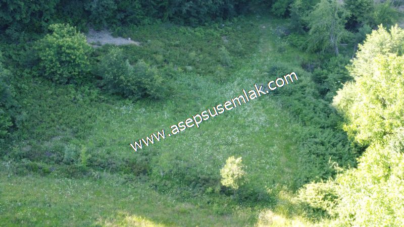 10.457 m2 Yatırımlık Tarla Bağ-Bahçe Ormana Cepheli Özel Yol var