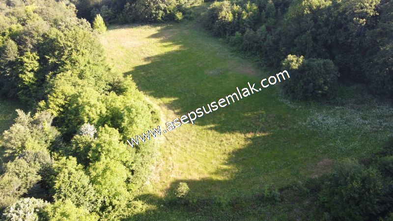 10.457 m2 Yatırımlık Tarla Bağ-Bahçe Ormana Cepheli Özel Yol var