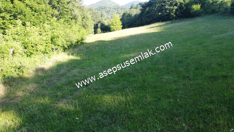 10.457 m2 Yatırımlık Tarla Bağ-Bahçe Ormana Cepheli Özel Yol var