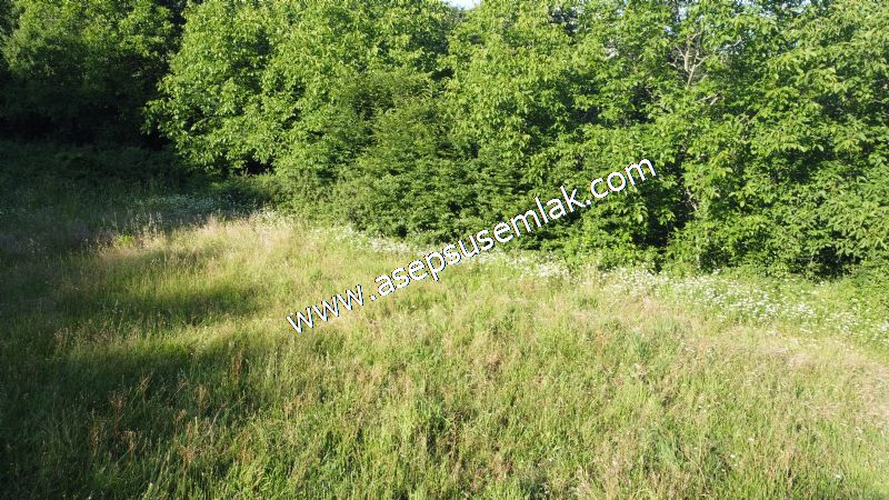 10.457 m2 Yatırımlık Tarla Bağ-Bahçe Ormana Cepheli Özel Yol var