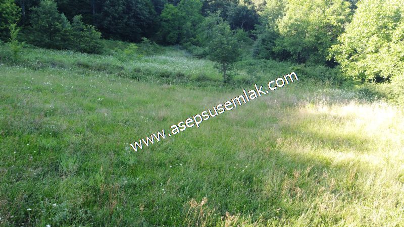 10.457 m2 Yatırımlık Tarla Bağ-Bahçe Ormana Cepheli Özel Yol var