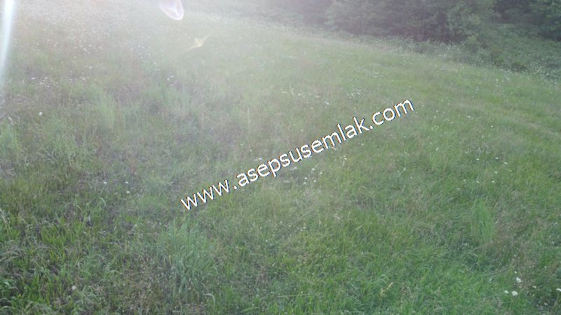 10.457 m2 Yatırımlık Tarla Bağ-Bahçe Ormana Cepheli Özel Yol var