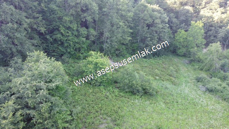 10.457 m2 Yatırımlık Tarla Bağ-Bahçe Ormana Cepheli Özel Yol var