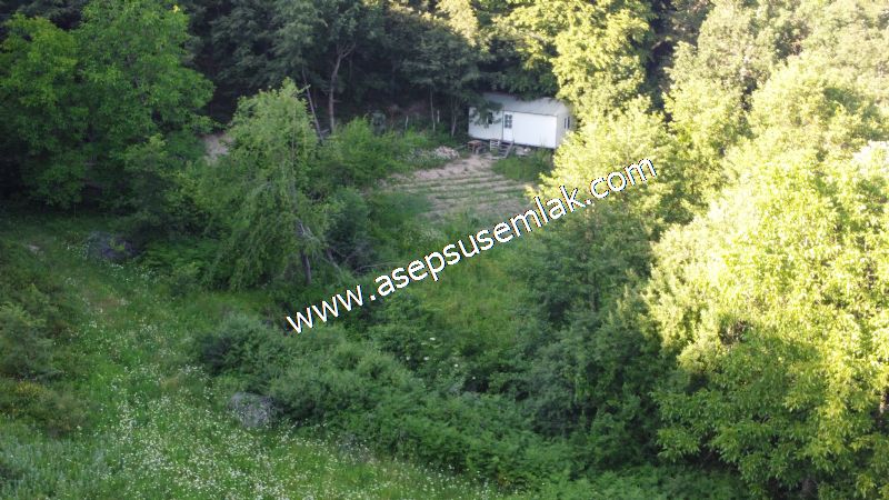 10.457 m2 Yatırımlık Tarla Bağ-Bahçe Ormana Cepheli Özel Yol var