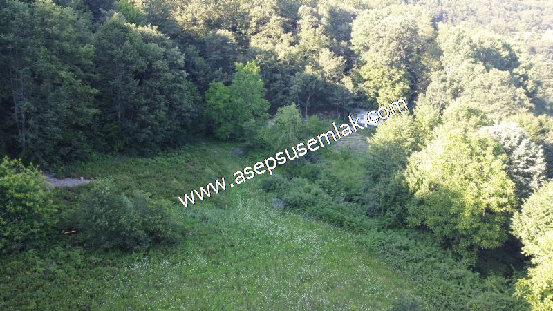 10.457 m2 Yatırımlık Tarla Bağ-Bahçe Ormana Cepheli Özel Yol var