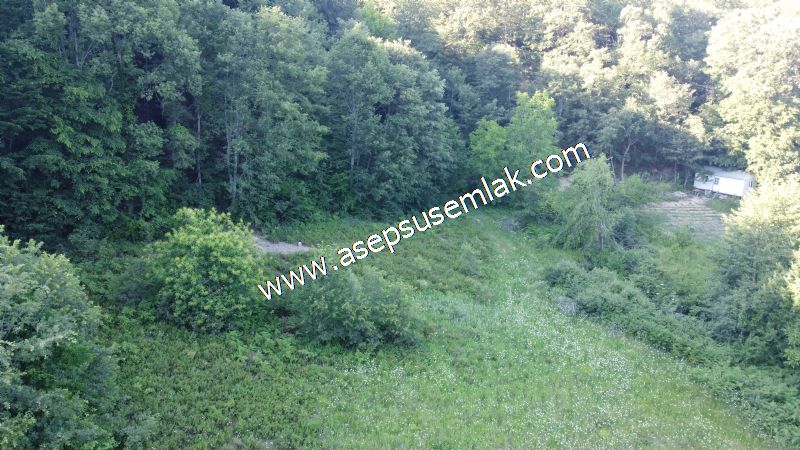 10.457 m2 Yatırımlık Tarla Bağ-Bahçe Ormana Cepheli Özel Yol var