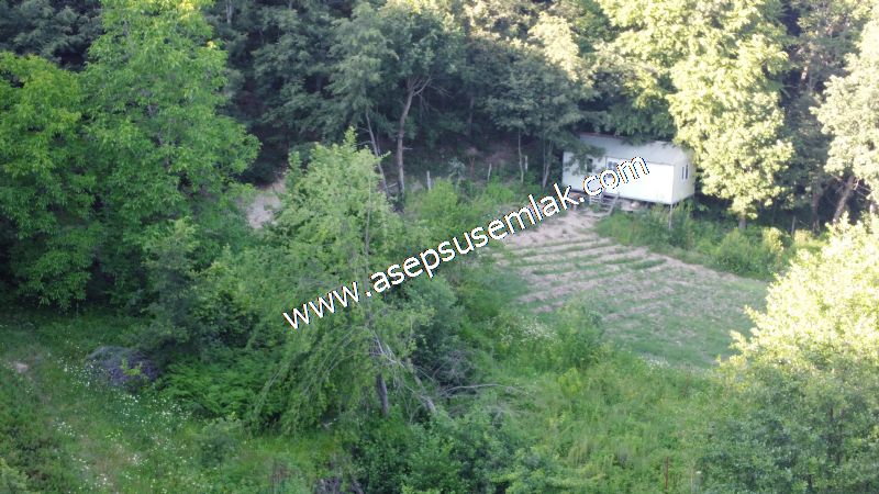 10.457 m2 Yatırımlık Tarla Bağ-Bahçe Ormana Cepheli Özel Yol var