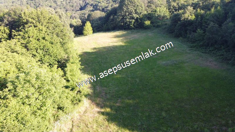 10.457 m2 Yatırımlık Tarla Bağ-Bahçe Ormana Cepheli Özel Yol var