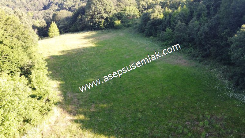 10.457 m2 Yatırımlık Tarla Bağ-Bahçe Ormana Cepheli Özel Yol var