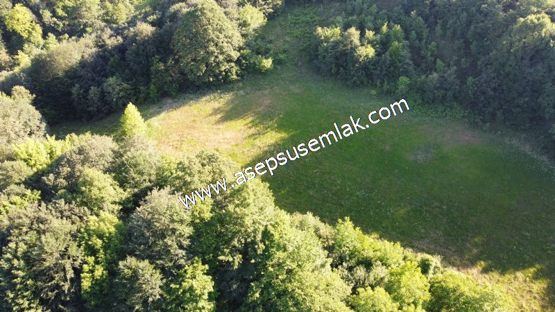 10.457 m2 Yatırımlık Tarla Bağ-Bahçe Ormana Cepheli Özel Yol var