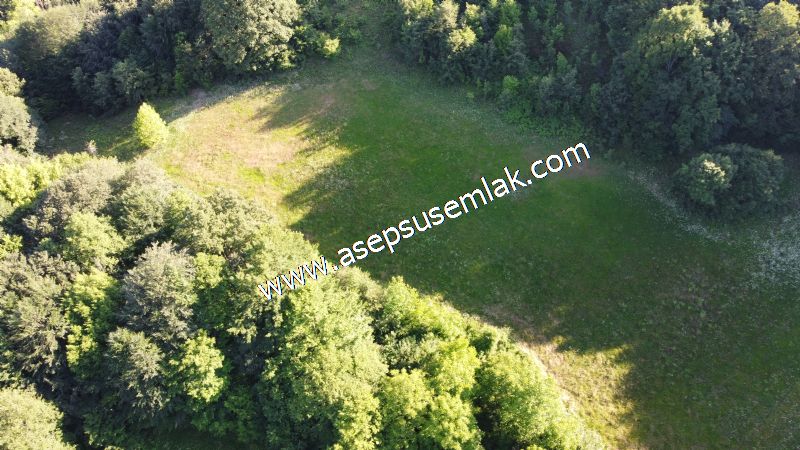 10.457 m2 Yatırımlık Tarla Bağ-Bahçe Ormana Cepheli Özel Yol var