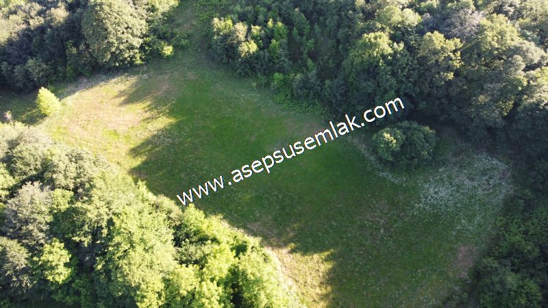 10.457 m2 Yatırımlık Tarla Bağ-Bahçe Ormana Cepheli Özel Yol var