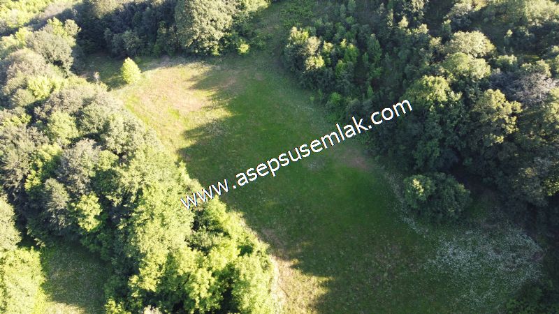 10.457 m2 Yatırımlık Tarla Bağ-Bahçe Ormana Cepheli Özel Yol var