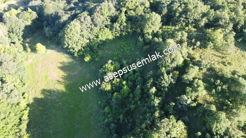 10.457 m2 Yatırımlık Tarla Bağ-Bahçe Ormana Cepheli Özel Yol var