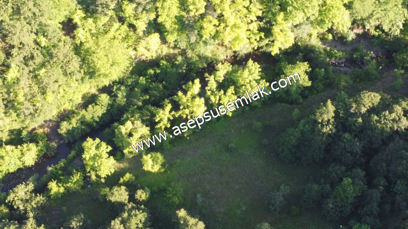 10.457 m2 Yatırımlık Tarla Bağ-Bahçe Ormana Cepheli Özel Yol var