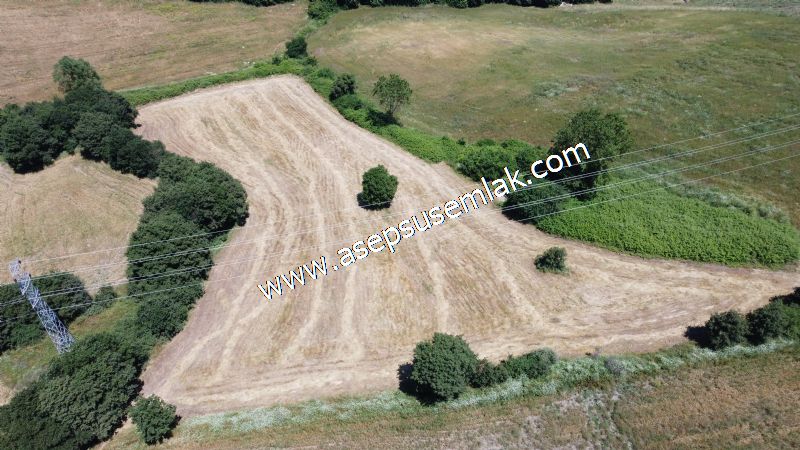 10.008 m2 Yatırımlık Tarla Bağ-Bahçe Su Çeşme Var. Yolu Yok.