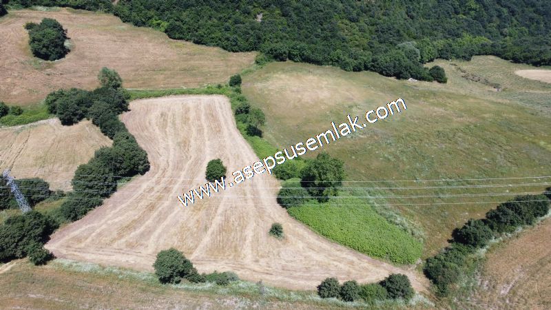 10.008 m2 Yatırımlık Tarla Bağ-Bahçe Su Çeşme Var. Yolu Yok.