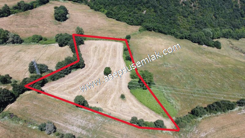 10.008 m2 Yatırımlık Tarla Bağ-Bahçe Su Çeşme Var. Yolu Yok.