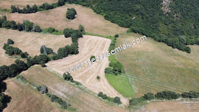 10.008 m2 Yatırımlık Tarla Bağ-Bahçe Su Çeşme Var. Yolu Yok.