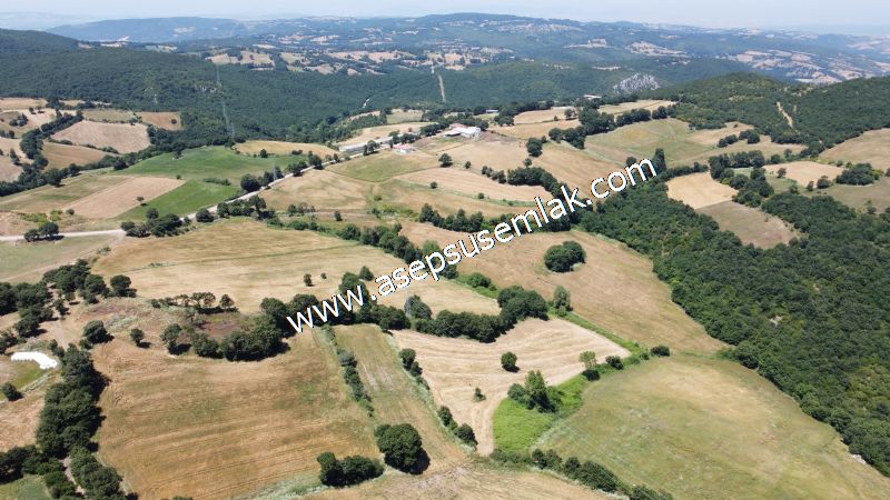 10.008 m2 Yatırımlık Tarla Bağ-Bahçe Su Çeşme Var. Yolu Yok.
