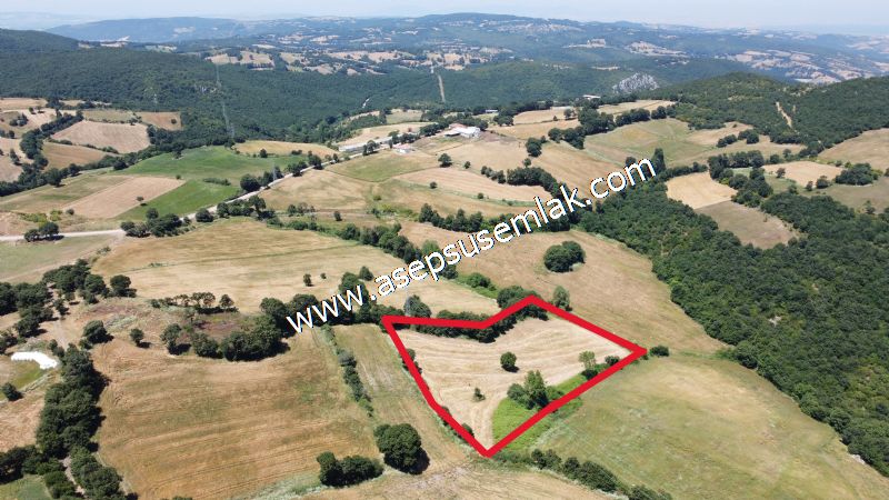 10.008 m2 Yatırımlık Tarla Bağ-Bahçe Su Çeşme Var. Yolu Yok.