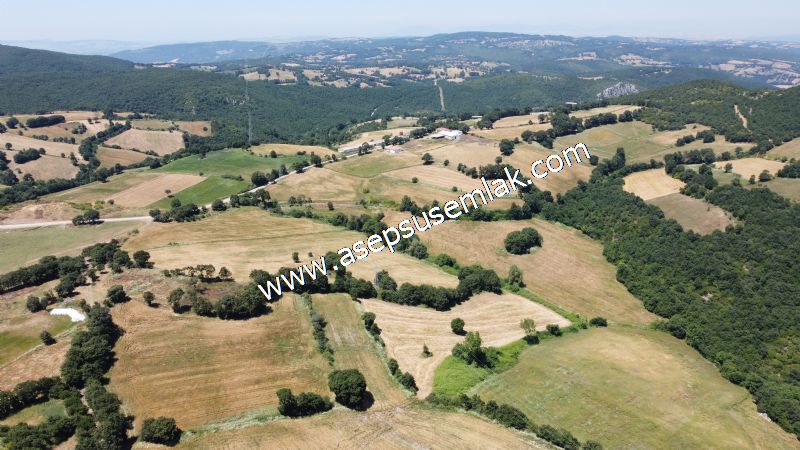 10.008 m2 Yatırımlık Tarla Bağ-Bahçe Su Çeşme Var. Yolu Yok.