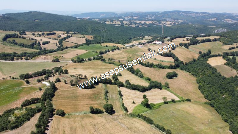 10.008 m2 Yatırımlık Tarla Bağ-Bahçe Su Çeşme Var. Yolu Yok.
