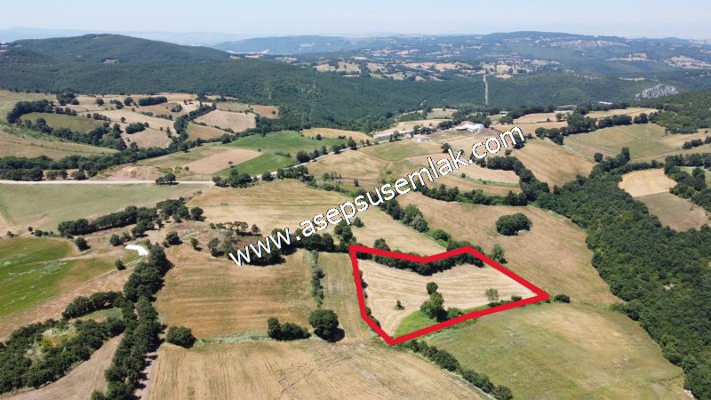 10.008 m2 Yatırımlık Tarla Bağ-Bahçe Su Çeşme Var. Yolu Yok.