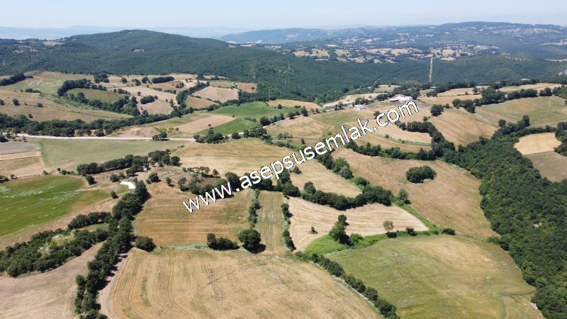 10.008 m2 Yatırımlık Tarla Bağ-Bahçe Su Çeşme Var. Yolu Yok.