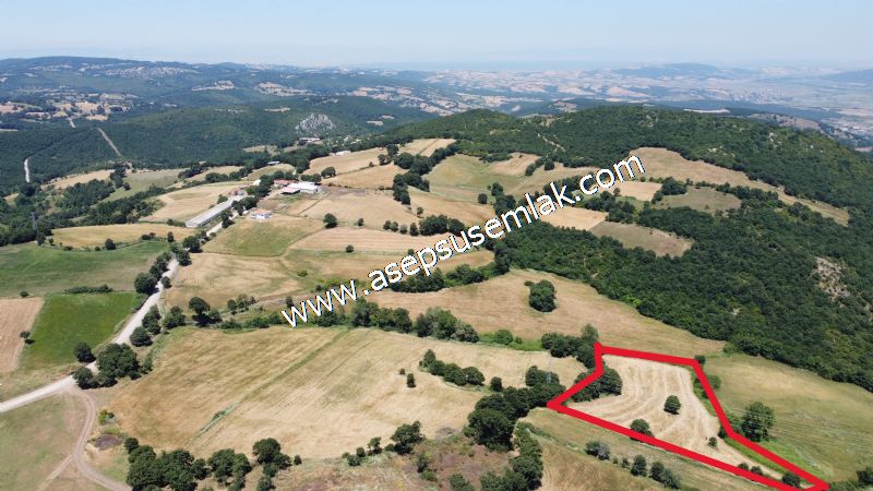 10.008 m2 Yatırımlık Tarla Bağ-Bahçe Su Çeşme Var. Yolu Yok.