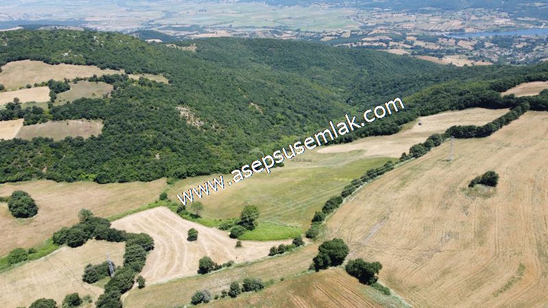 10.008 m2 Yatırımlık Tarla Bağ-Bahçe Su Çeşme Var. Yolu Yok.