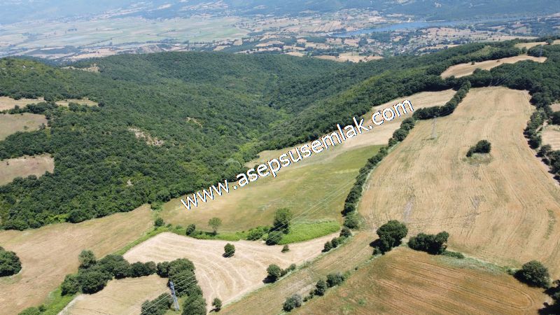 10.008 m2 Yatırımlık Tarla Bağ-Bahçe Su Çeşme Var. Yolu Yok.