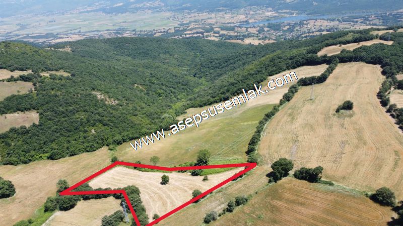 10.008 m2 Yatırımlık Tarla Bağ-Bahçe Su Çeşme Var. Yolu Yok.