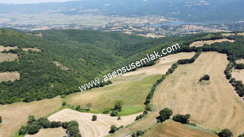 10.008 m2 Yatırımlık Tarla Bağ-Bahçe Su Çeşme Var. Yolu Yok.